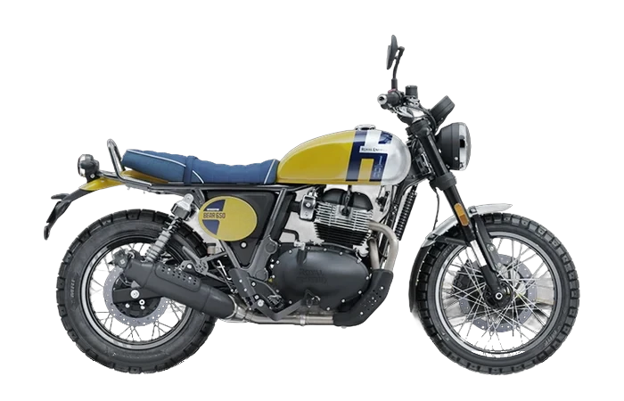 Bear 650 Wild Honey