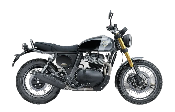 Bear 650 Golden Shadow